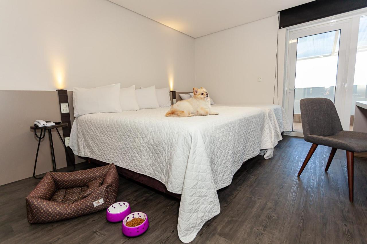 Travel Inn Hotels Caxias Do Sul Exterior photo